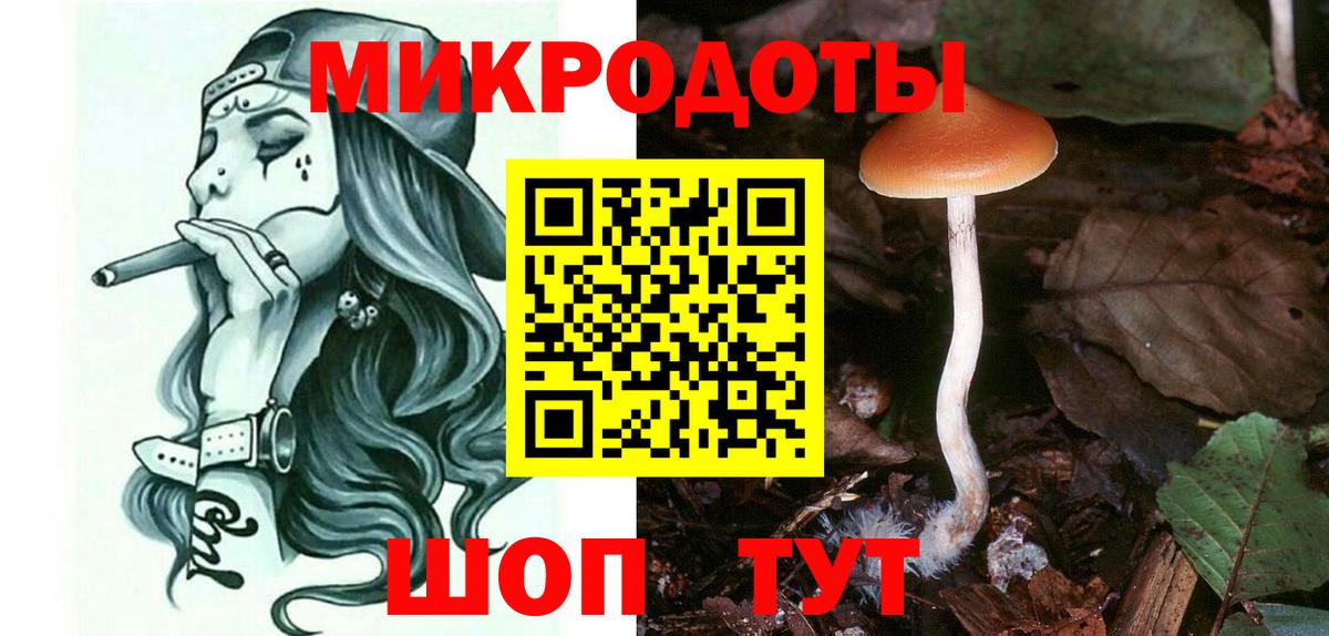 Псилоцибиновые грибы Psilocybine cubensis Домодедово