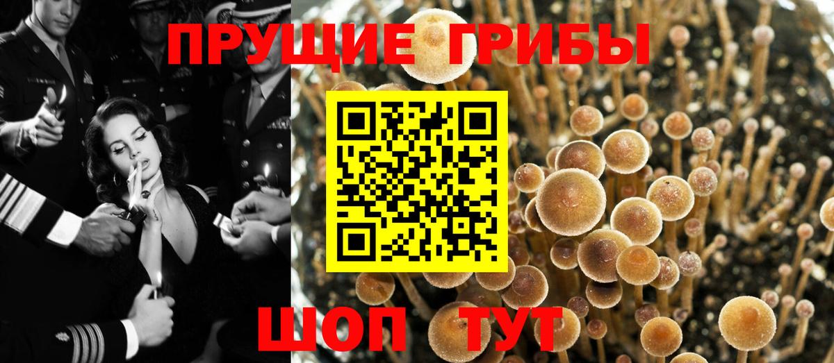 Галлюциногенные грибы прущие грибы  Домодедово 